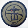 Joint Air Land Organisation JALO Cloth Badge