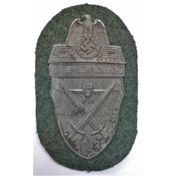 WW2 German Demjansk Shield