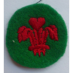 WW2 North Wales Cloth...