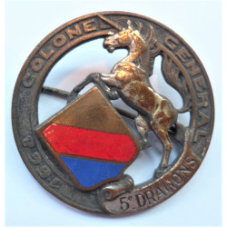 France 5th Dragoons Regiment Insignia 1950's