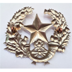 Cameronians (Scottish Rifles) Cap/Glengarry Badge