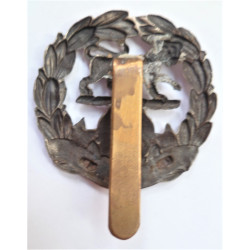 WW2 The Hampshire Regiment Cap Badge British Army