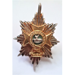 Worcestershire Regiment Officers Cap Badge British Army