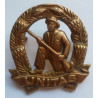 South African Commandos UNITAS Cap Badge Screw Fitting