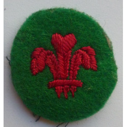 WW2 British Army North Wales District Formation Sign Division Badge