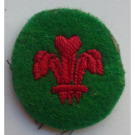 WW2 British Army North Wales District Formation Sign Division Badge