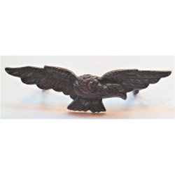 Royal Air Force Sleeve Eagle/Albatross Bronze Badge RAF
