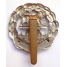 Hampshire Regiment Cap Badge British Military Insignia