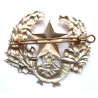 Cameronians (Scottish Rifles) Cap/Glengarry Badge Military Insignia