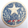 United States Texas National Guard Cloth Patch Insignia