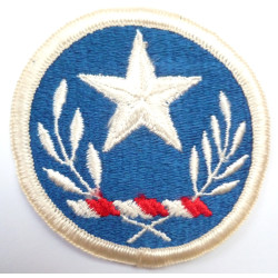 United States Texas National Guard Cloth Patch