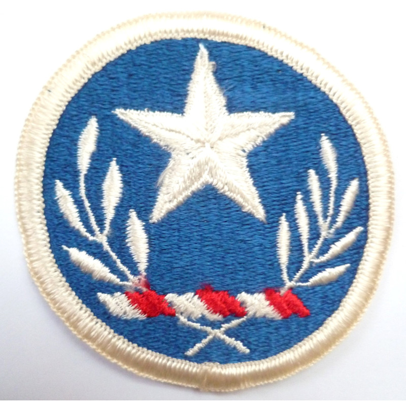 United States Texas National Guard Cloth Patch