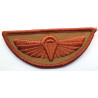 Special Air Service Brass Cloth Badge