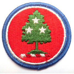 United States Tennessee National Guard Cloth Patch Badge