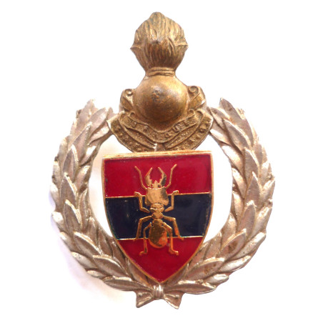 2nd Field Engineer Regiment S.A.E.C.(Engineers) Badge/Insignia South African