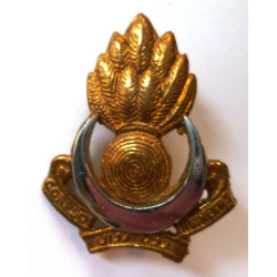 Pakistan Army Engineers Corps Cap Badge