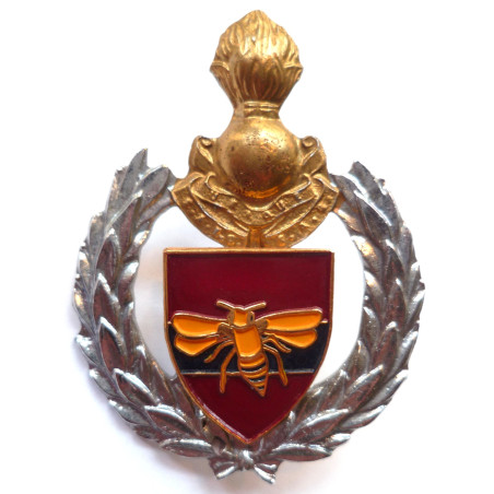 35 Engineer Support Regiment Badge/Insignia South African