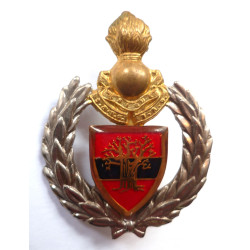 10 Engineer Regiment Insignia - South Africa