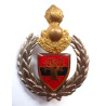 10 Engineer Regiment Insignia - South Africa