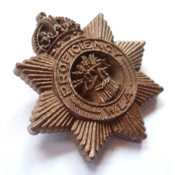 Women's Land Army Plastic Economy Proficiency Badge