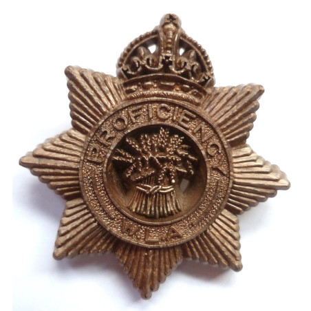 Women's Land Army Plastic Economy Proficiency Badge