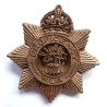 Women's Land Army Plastic Economy Proficiency Badge