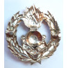 South African Engineers Corps Cap Badge