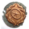 German WW2 Drivers Proficiency Badge