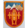 United States 169th Field Artillery Brigade Cloth Patch Badge insignia US
