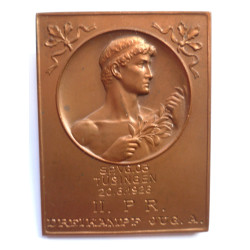 1926 Germany Thuringen Fighting Games Award Plaque