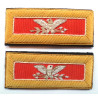 US Army Colonel Engineers Officer Shoulder Boards Straps Bullion