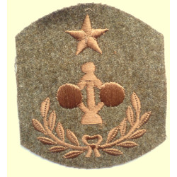 WWI US Coast Artillery Chief Engineer Chevron Rank Patch