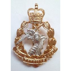 Royal Army Dental Corps Anodised Staybrite Cap Badge Queens Crown