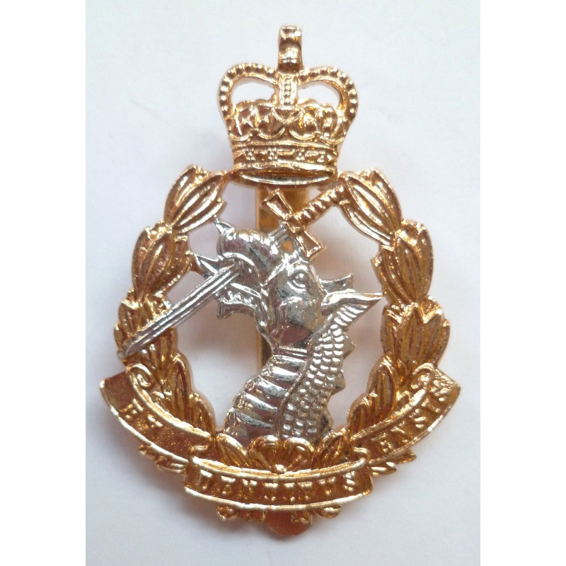 Royal Army Dental Corps Anodised Staybrite Cap Badge Queens Crown