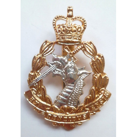 Royal Army Dental Corps Anodised Staybrite Cap Badge Queens Crown