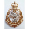Royal Army Dental Corps Anodised Staybrite Cap Badge Queens Crown