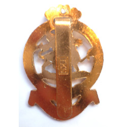 Queen's Royal Regiment Anodised Staybrite Cap Badge Queens Crown