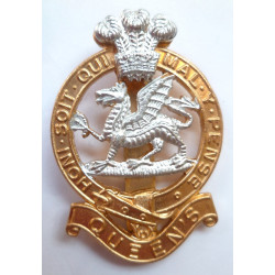Queens Royal Regiment Anodised Staybrite Cap Badge Queens Crown