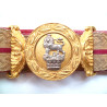 Victorian Officers Brocade Sword Belt