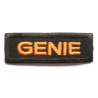 Royal Canadian Genie (Engineers) Cloth Patch