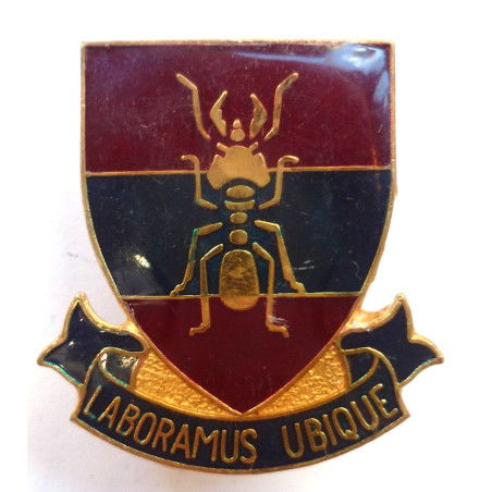 1st Construction Regiment Badge - South Africa 1st Construction Regiment Badge - South Africa