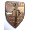 German S.A Gruppe Nordmark (Northern March) Rally In Kiel Badge