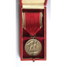 German Anschluss Medal and Case