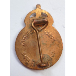 Civil Defence Corps Lapel Badge