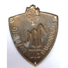 Italian Fascist Youth Sleeve Shield - Palermo