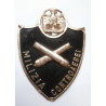 MVSN Speciality Militia Anti Aircraft Artillery Sleeve Shield - Italian