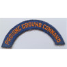WW2 USAAF Proving Ground Command Tab/Title