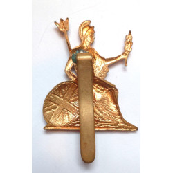 WW2 Norfolk Regiment Cap Badge British Militaria