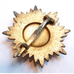 German Wehrmacht, Eastern People's Ostvolk Medal 1st class in Gold with Swords