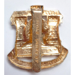 Devonshire & Dorset Regiment Staybrite Cap Badge - British Army Insignia